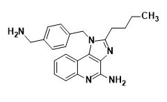 1-(4-(Aminomethyl)benzyl)-2-butyl-1H-imidazo[4,5-c}quinolin-4-ylamine