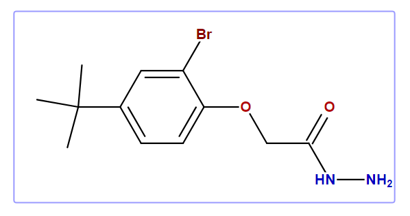 2-[2-Bromo-4-(tert. Butyl)phenoxy]acetohydrazide
