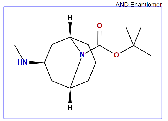 exo-3-Methylamino-9-BOC-9-azabicyclo[3.3.1]nonane